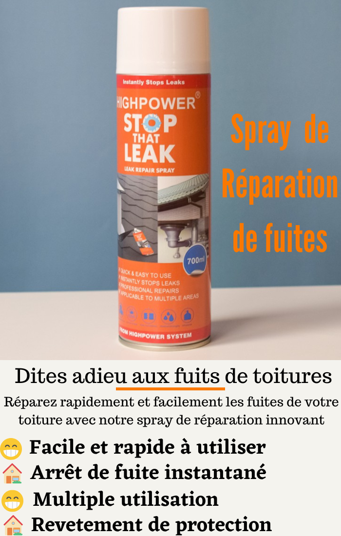 SPRAY DE REPARATION DE FRUITES